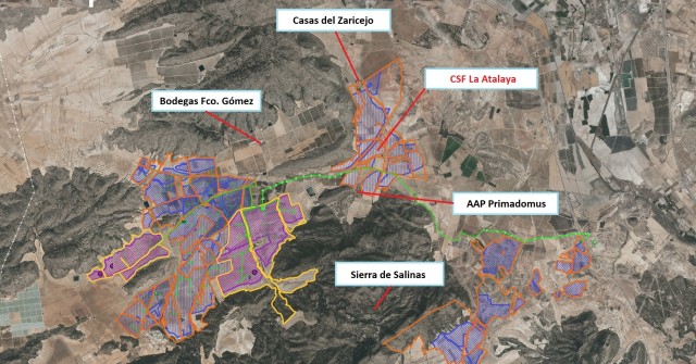 Salvatierra vuelve a denunciar ante la Fiscalía la planta de X-Elio en Villena por 