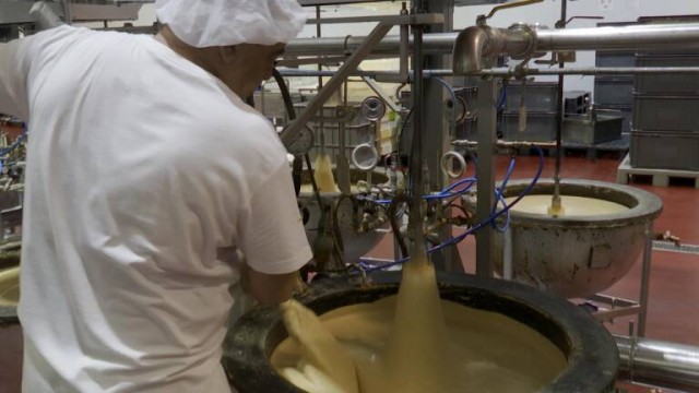 Gi Group busca más de 60 operarios para trabajar en el sector del turrón y chocolate en Alicante