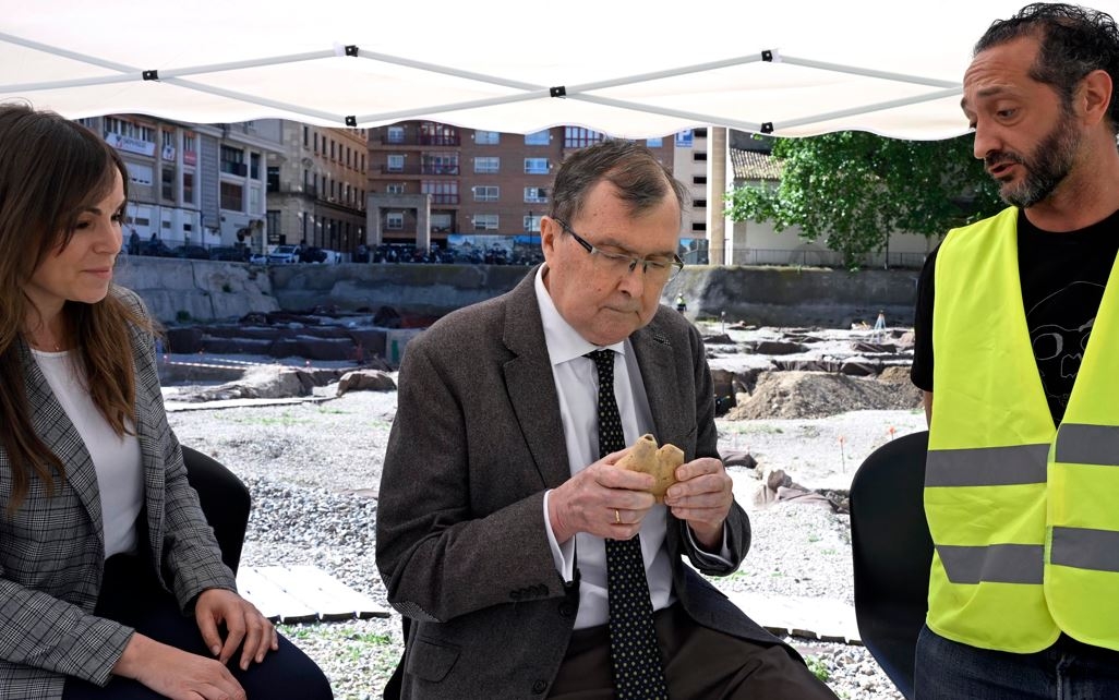 San Esteban saca a la luz el primer dromedario de la Murcia andalusí: un hallazgo clave para entender la movilidad del siglo XII