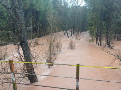 La UA desarrolla una herramienta digital que alerta del riesgo de inundaciones