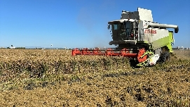 AVA-Asaja insta a eurodiputados a que rebajen el umbral de la cláusula automática del arroz