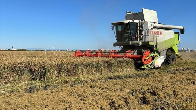 AVA-Asaja insta a eurodiputados a que rebajen el umbral de la cláusula automática del arroz