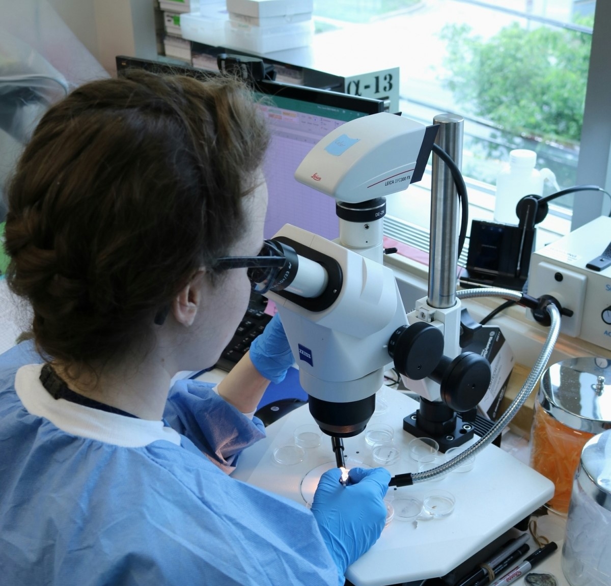 Talento y formación: las mujeres de la Región de Murcia reivindican su papel en las STEM