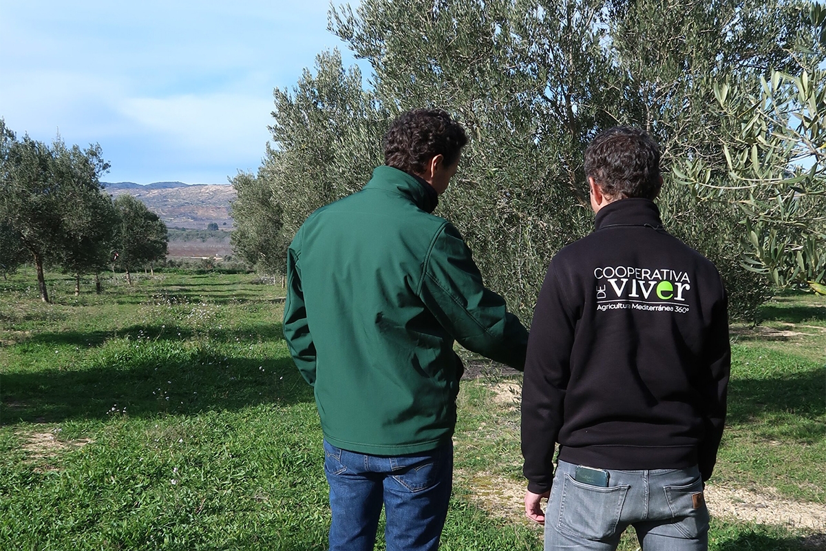 GO Viver impulsa en Castellón un modelo agrícola para frenar incendios y regenerar biodiversidad