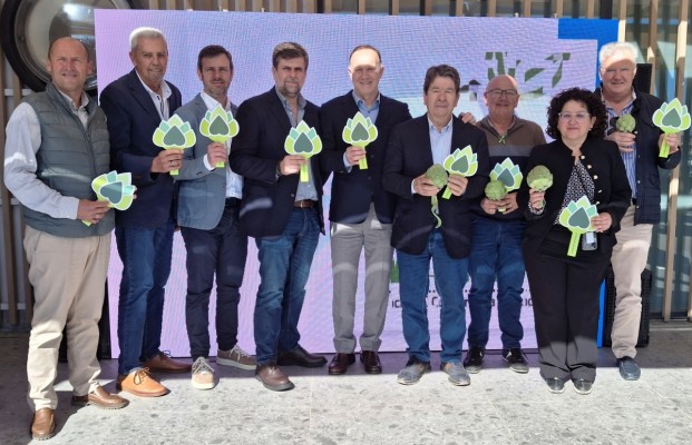 Alicante gana peso en la nueva junta directiva de la asociación Alcachofa de España