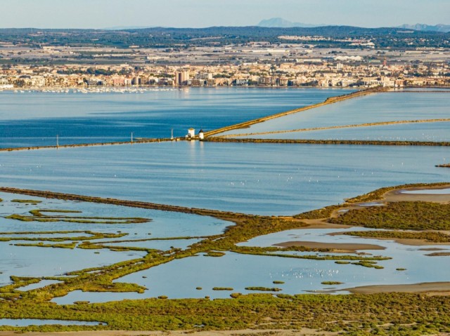 Adjudican a cuatro empresas el proyecto Recupera para solucionar los nutrientes del Mar Menor