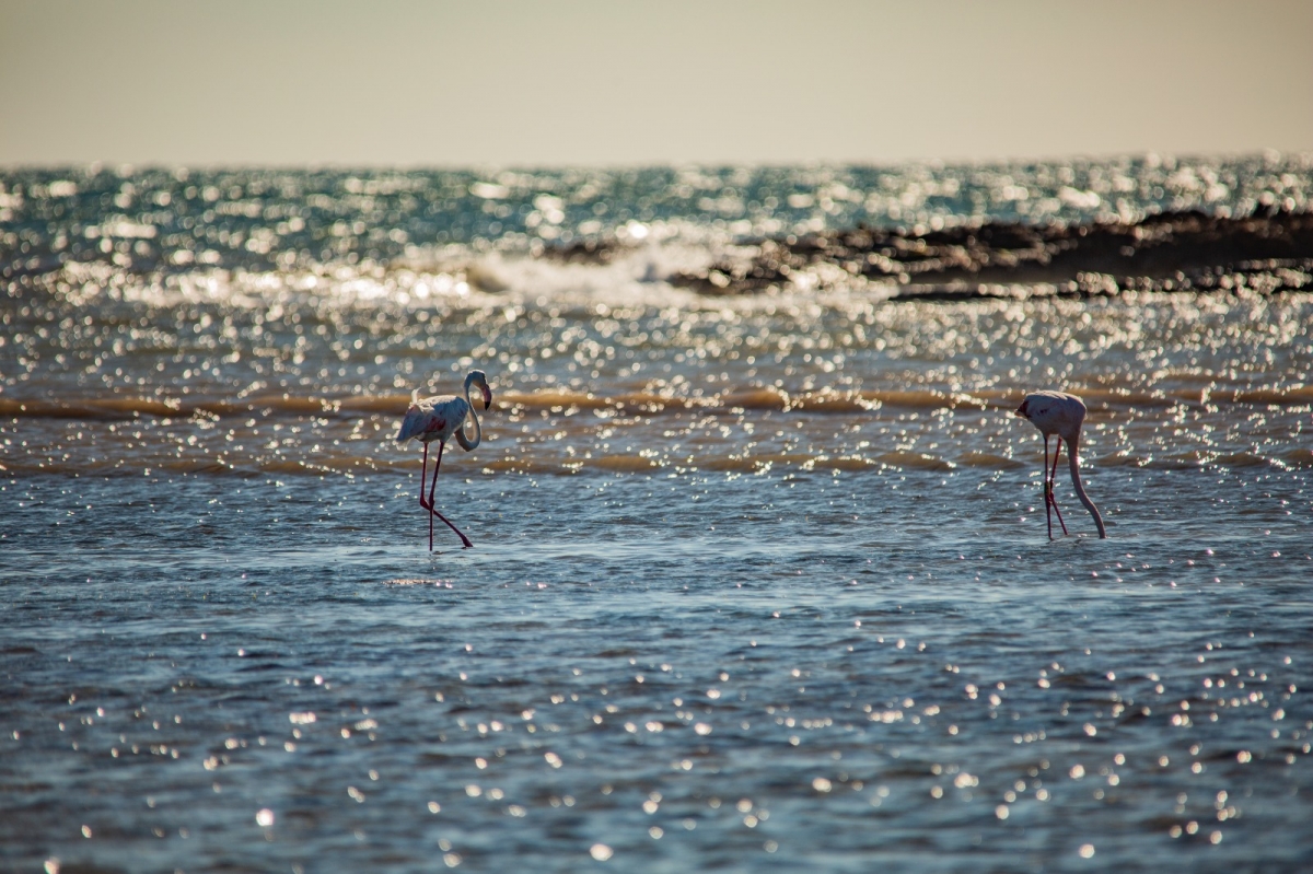  - Foto: J.J. PEÑALVER