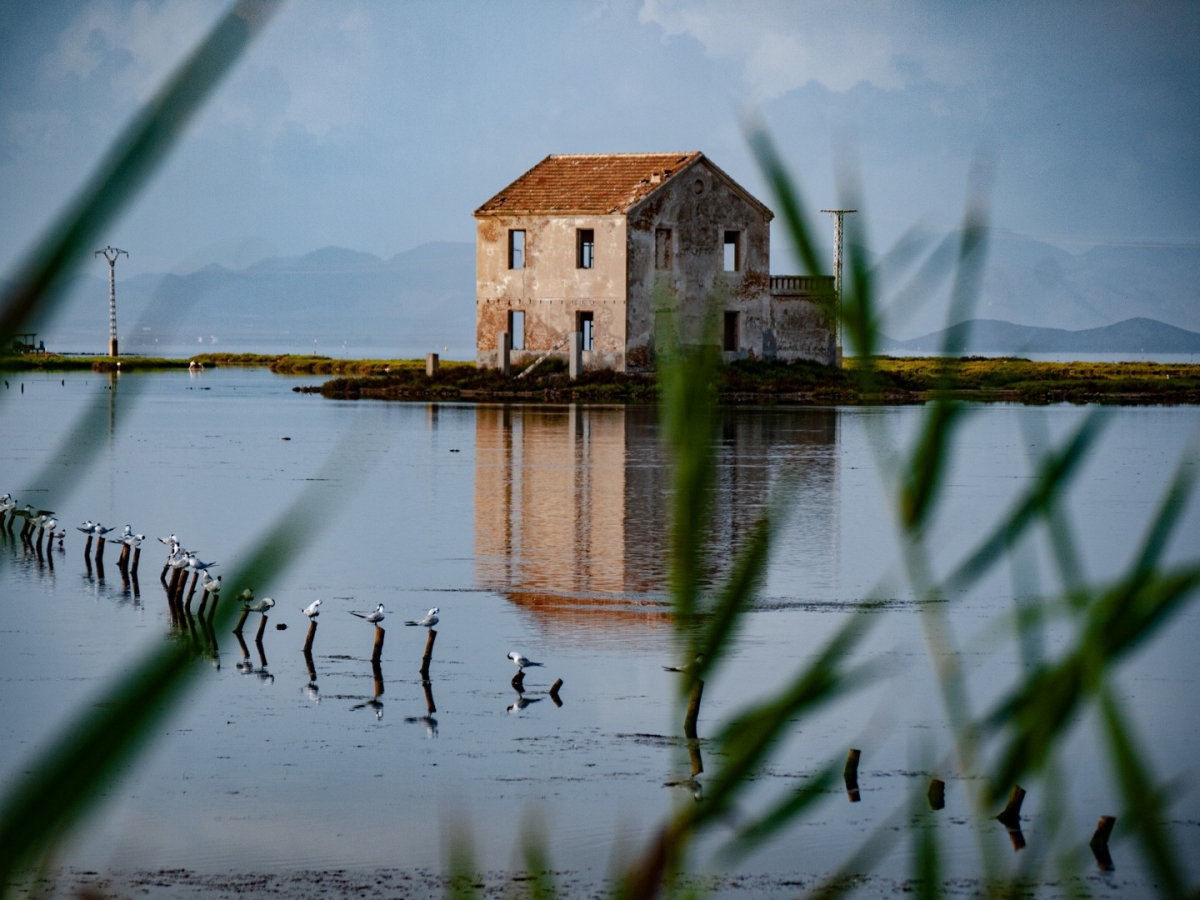  - Foto: J.J. PEÑALVER