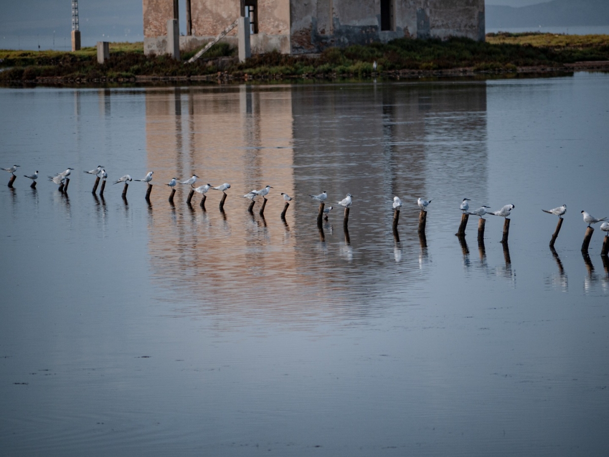  - Foto: J.J. PEÑALVER