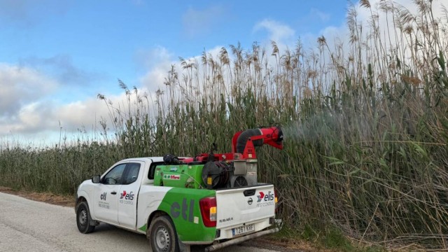 Elche intensifica las fumigaciones contra los mosquitos en todo el término municipal