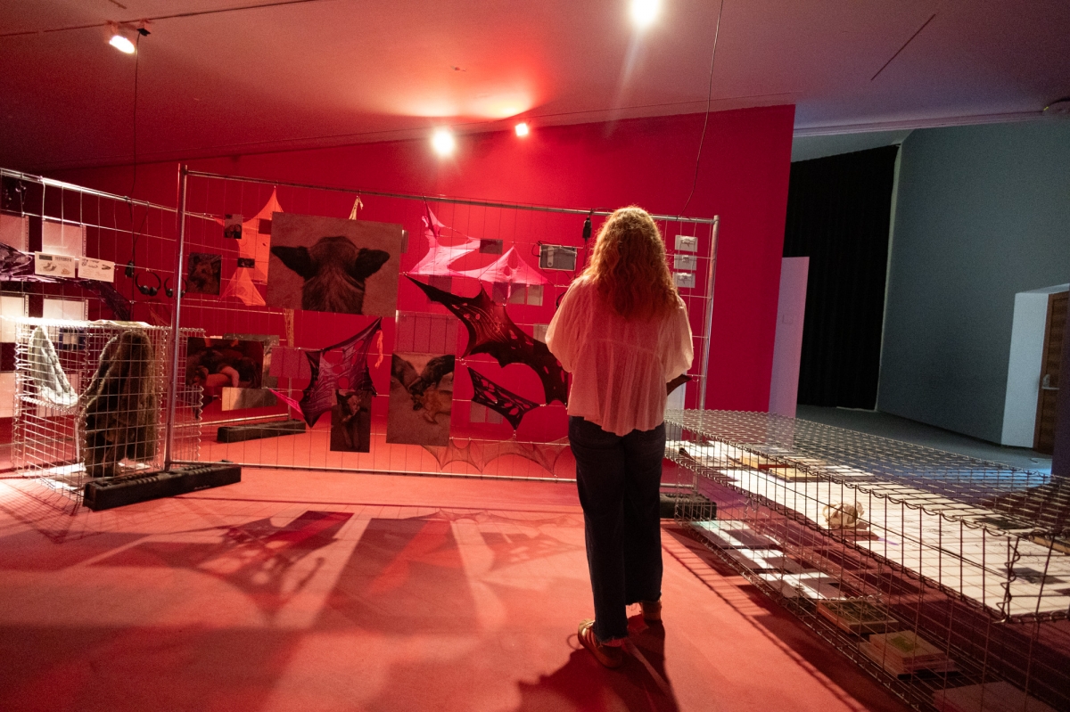 'Jauría', una exposición entre aullidos sobre la fortaleza de lo disidente