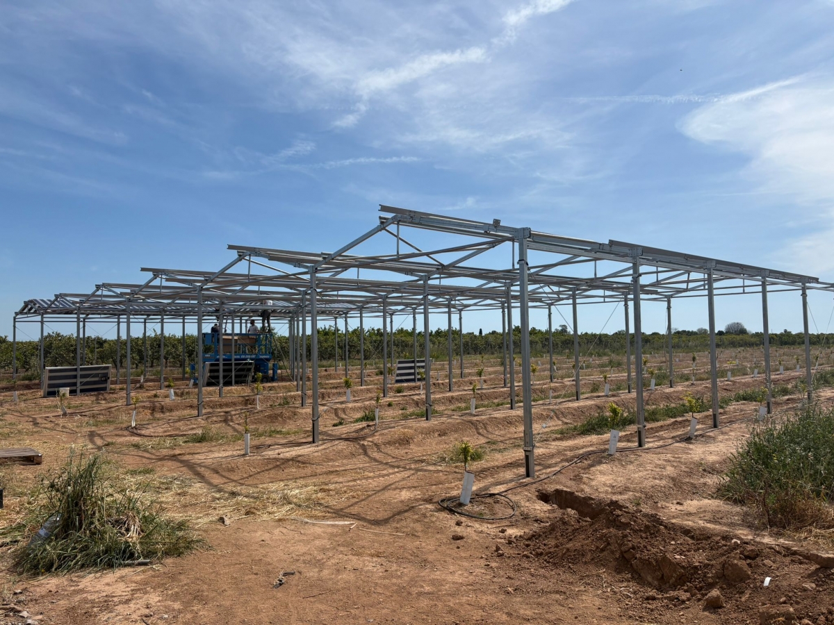 Proyecto piloto de agrovoltaica en Vila-real.