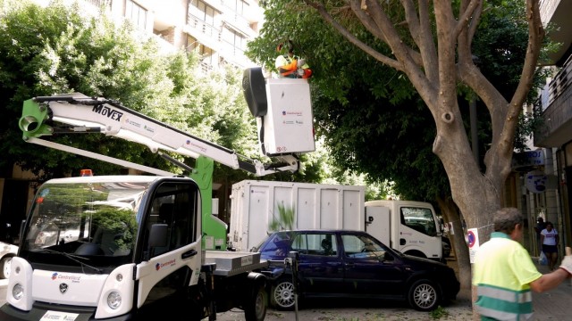 Parques y Jardines podará más de 400 árboles en diez barrios y actuará en otras 23 zonas en agosto