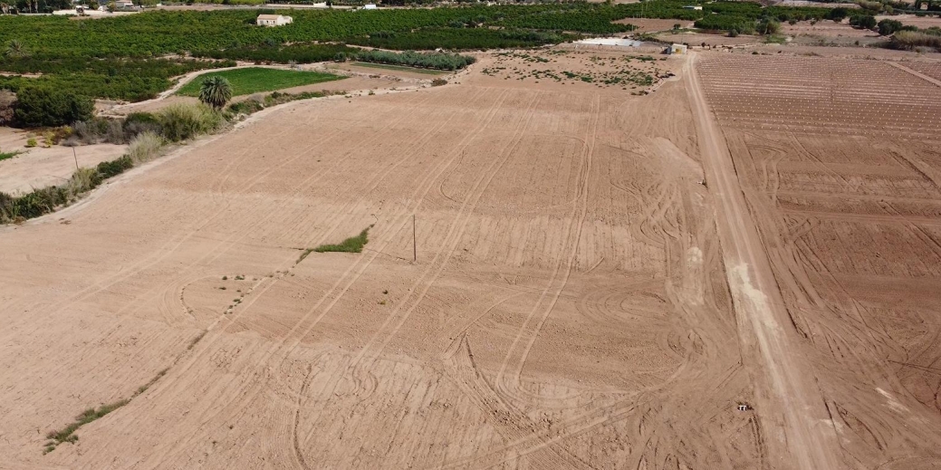Las solares siguen su expansión por la comarca: nueva planta en Crevillent y proyecto en Santa Pola