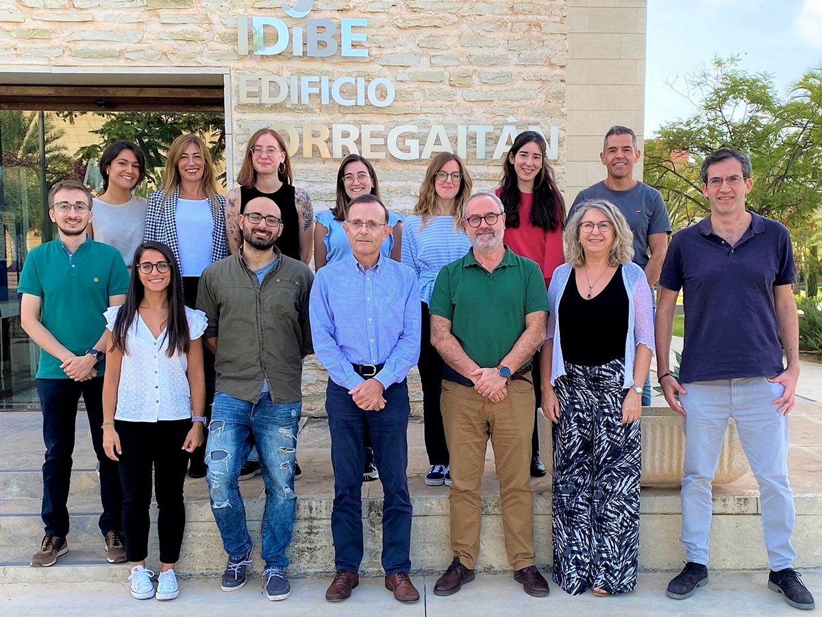 El Idibe de la UMH desarrolla nuevos péptidos capaces de reducir la inflamación y el dolor 