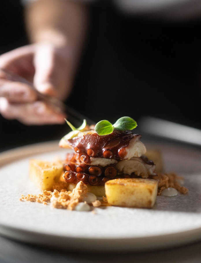 Pulpo a la plancha con patata de su cocción, puré y ajada de su cocción. 