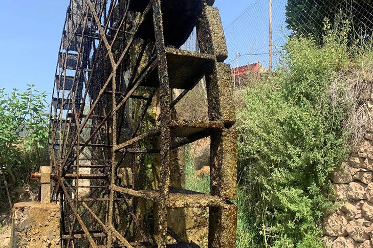 Un viaje al corazón del agua de la Región: la histórica Ruta de las Norias de Abarán