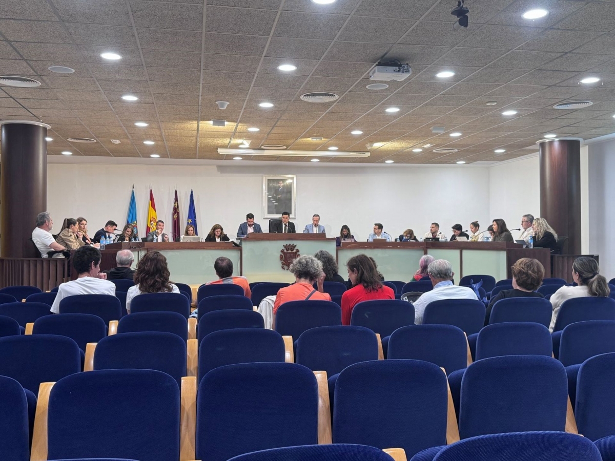 Luz verde al pliego que permitirá el transporte público en San Javier