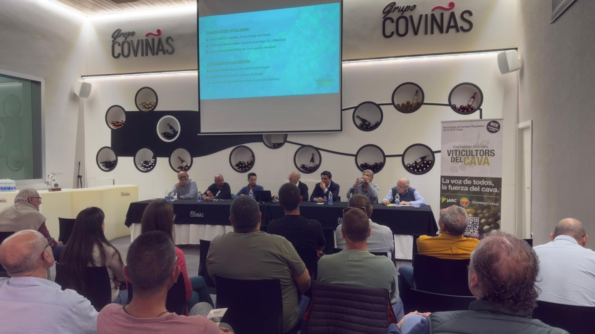 Candidatura conjunta para la DOP Cava