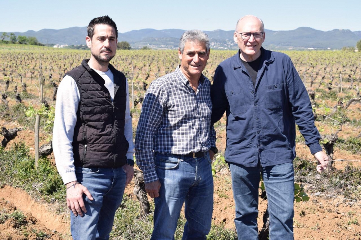 El cava valenciano y el catalán entierran el hacha de guerra tras años de conflicto por la D.O.P.