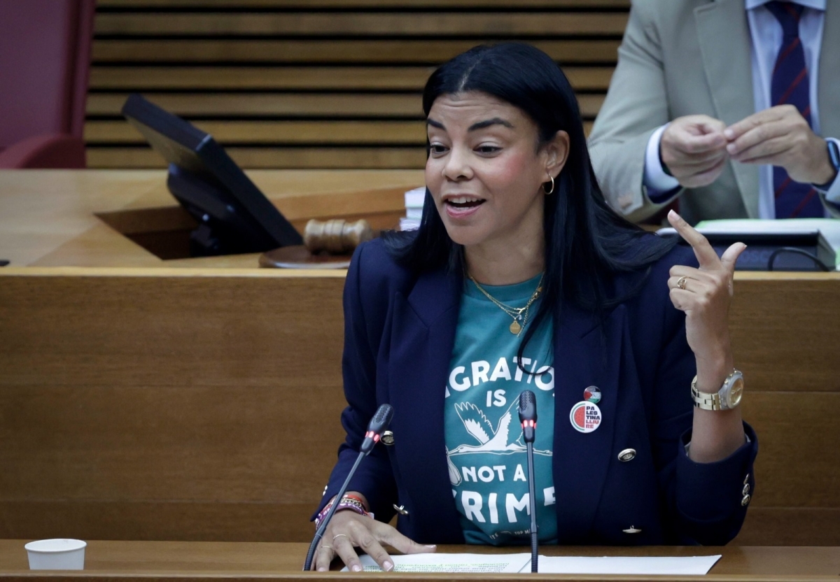 El PSPV recurre ante el TSJCV la 