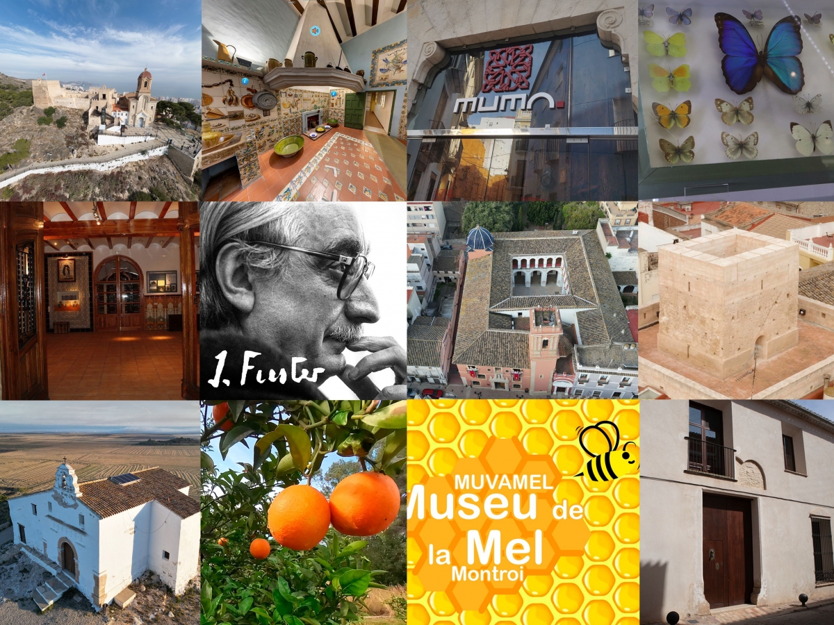 Els museus de la Ribera Alta es reuniran amb un grup d'experts europeus per a parlar de digitalització