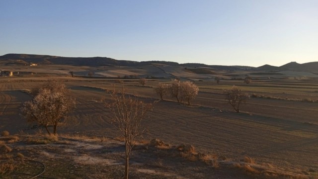 Los agricultores de la Región pagan casi un millón de euros más al día desde la guerra de Irán