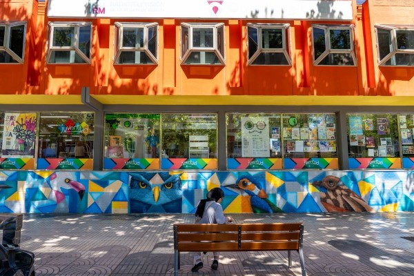 Las aves vuelven a posarse en la fachada del edificio de Juventud en Cartagena de la mano del artista Kays Larbi