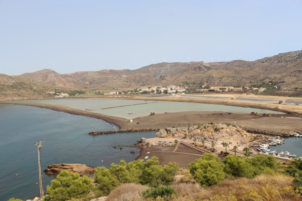 FRECOM se niega a que Tragsa se encargue de la regeneración de la bahía de Portman sin concurso público