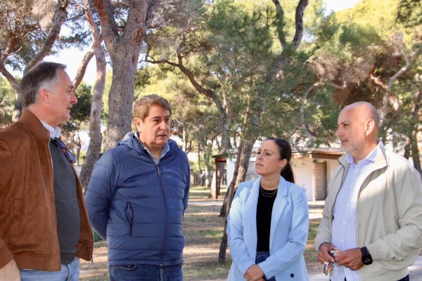 Castelló plantará 50 nuevos árboles en el Pinar del Grau después de los últimos temporales de viento