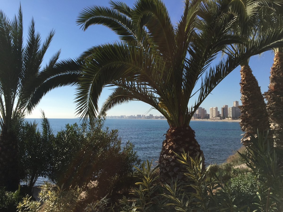 Tumbonas, menos escaleras y parques más humanos: así mejorará El Campello el Rincón de la Zofra