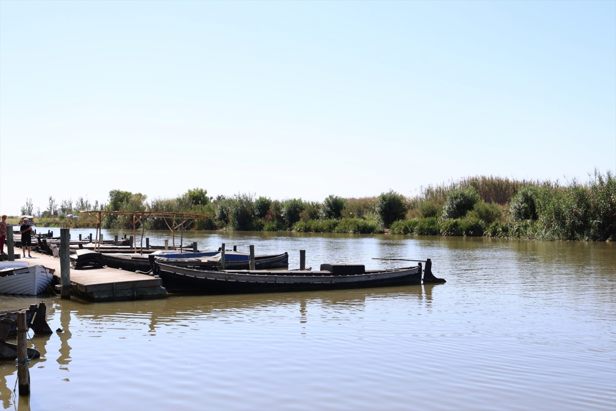 Acció Ecologista-Agró pide medidas ante las aguas residuales en la Albufera tras la Dana