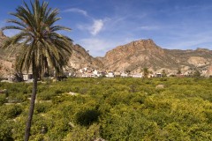 El Valle de Ricote y su ansiada protección: reanudan la lucha para que sea reconocido como Patrimonio de la Humanidad