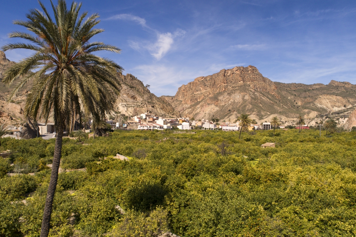 La Región de Murcia huele a azahar y lavanda: así se vive la floración en el Valle de Ricote y Moratalla