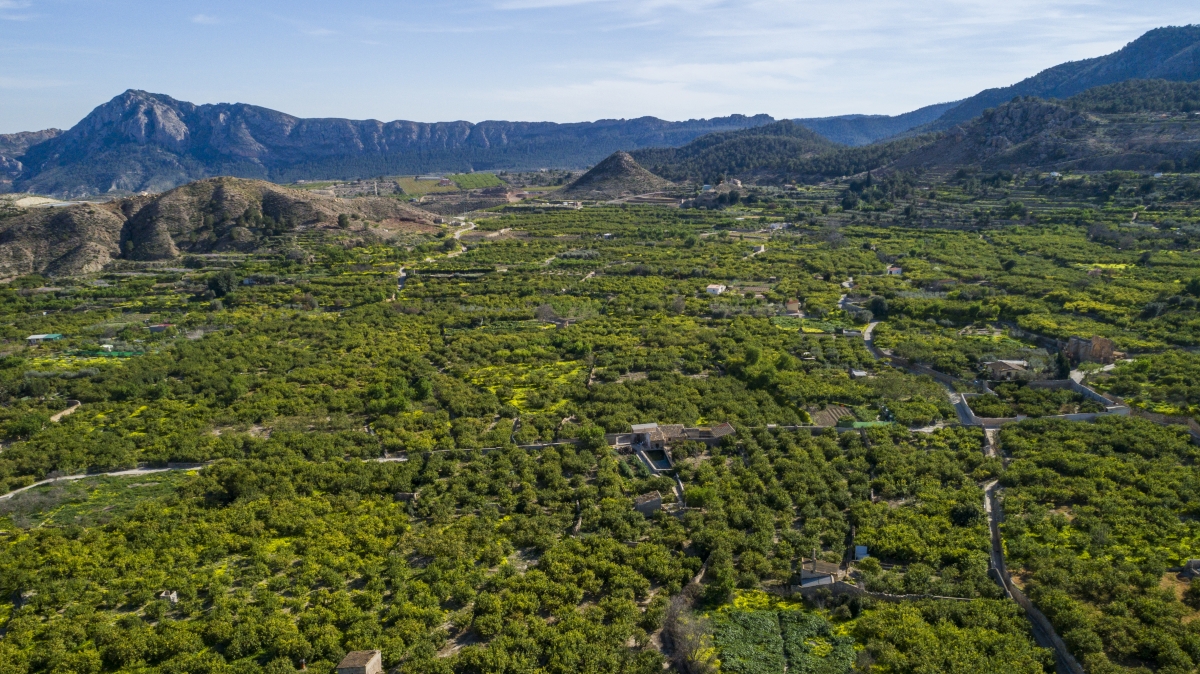 Valle de Ricote, Ricote.
