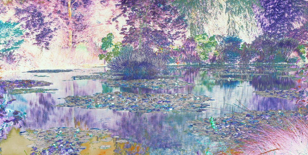 Giverny 2.0, de José Quintanilla