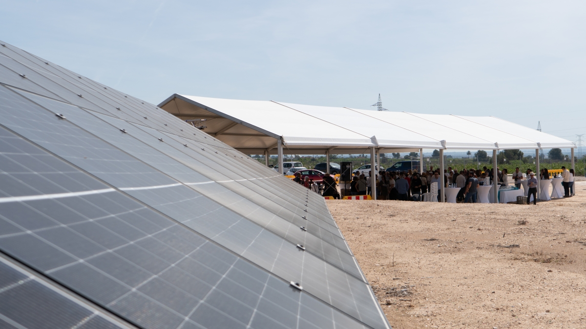 La inauguración del huerto solar de la Cooperativa Eléctrica Benéfica Albaterense, en imágenes