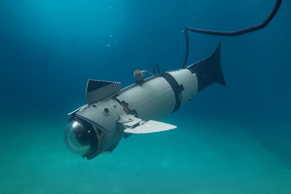 Investigadores de la UJI crean un pez robótico para reducir el estrés de los peces en la acuicultura