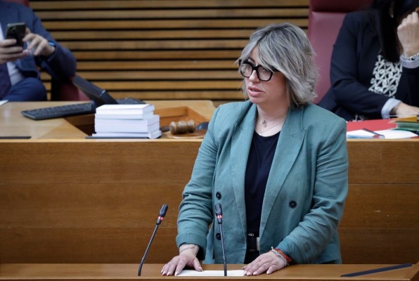 Les Corts piden que el Gobierno elabore un estudio sobre el daño cerebral adquirido