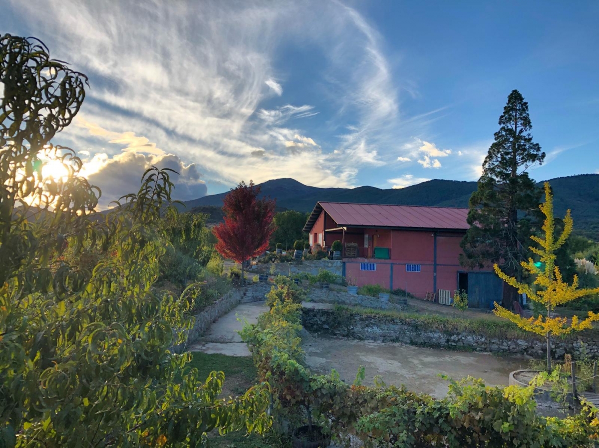 Blancos con Alta Fidelidad