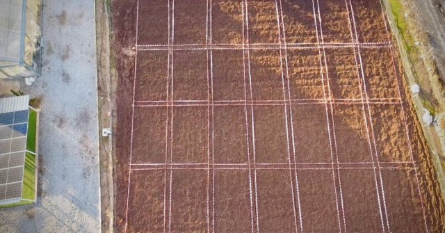 El verdadero coste de validar en I+D o Registro Agro: ¿Ahorrar sale caro?