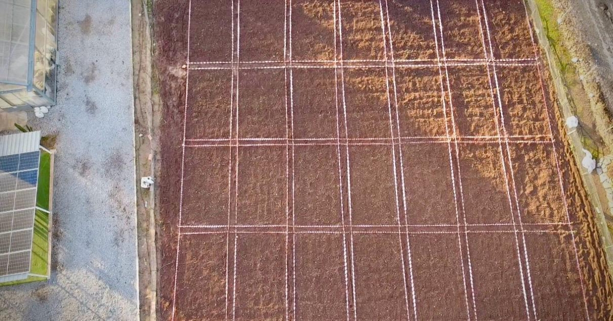 El verdadero coste de validar en I+D o Registro Agro: ¿Ahorrar sale caro?