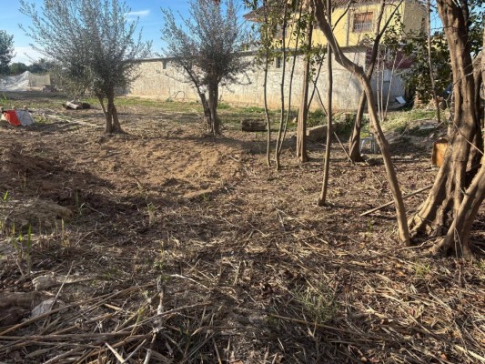 La Comunidad blinda los restos de la noria de la Landrona en Torreagüera para evitar su desaparición
