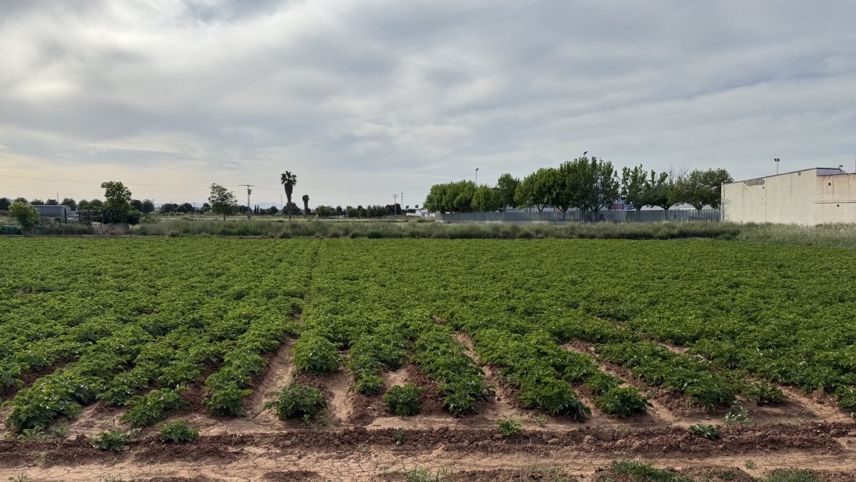 Picanya rechaza una moratoria urbanística en zonas inundables en pleno debate por la ampliación de La Taronja