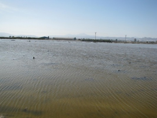 La rambla de Biznaga de Lorca se encauzará para evitar las inundaciones