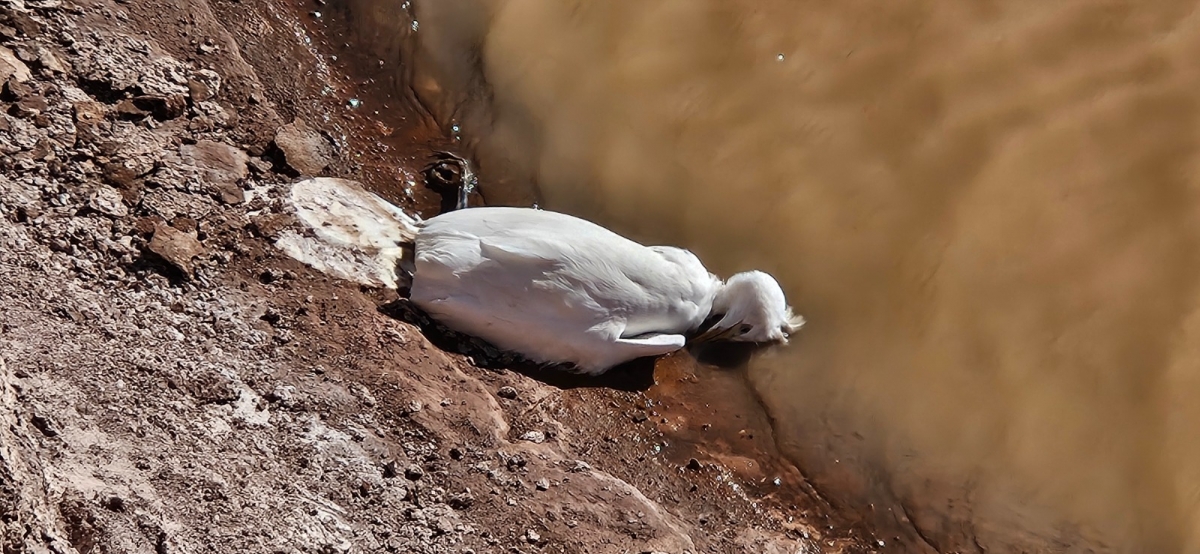  - Foto: José Matías Peñas