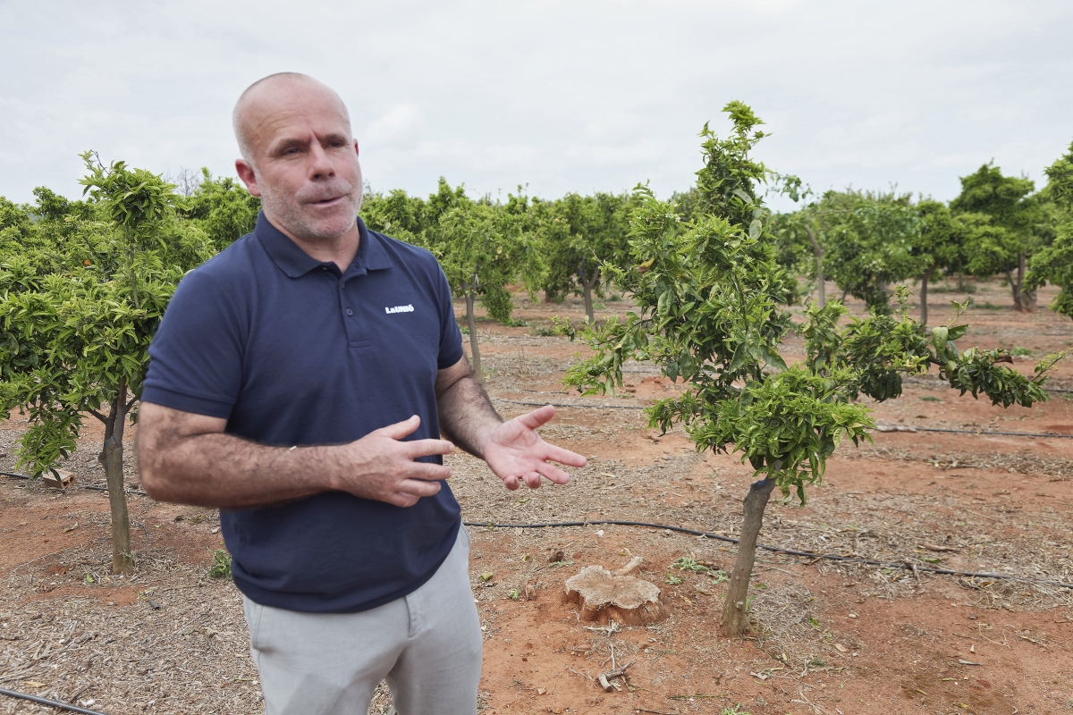 Carles Peris, secretario general de La Unió Llauradora i Ramadera.