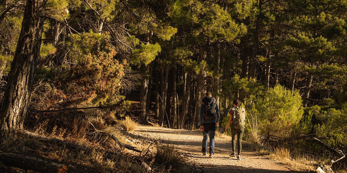  - Foto: TURISMO REGIÓN DE MURCIA