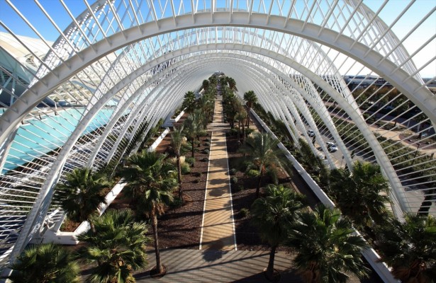 Vecinos de la Ciudad de las Artes se plantean una querella si abre la terraza del Umbracle
