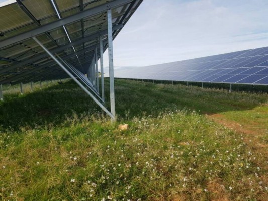 Soltec, a través de su filial Amber Solar, recibe autorización para dos nuevas plantas solares en Cartagena

